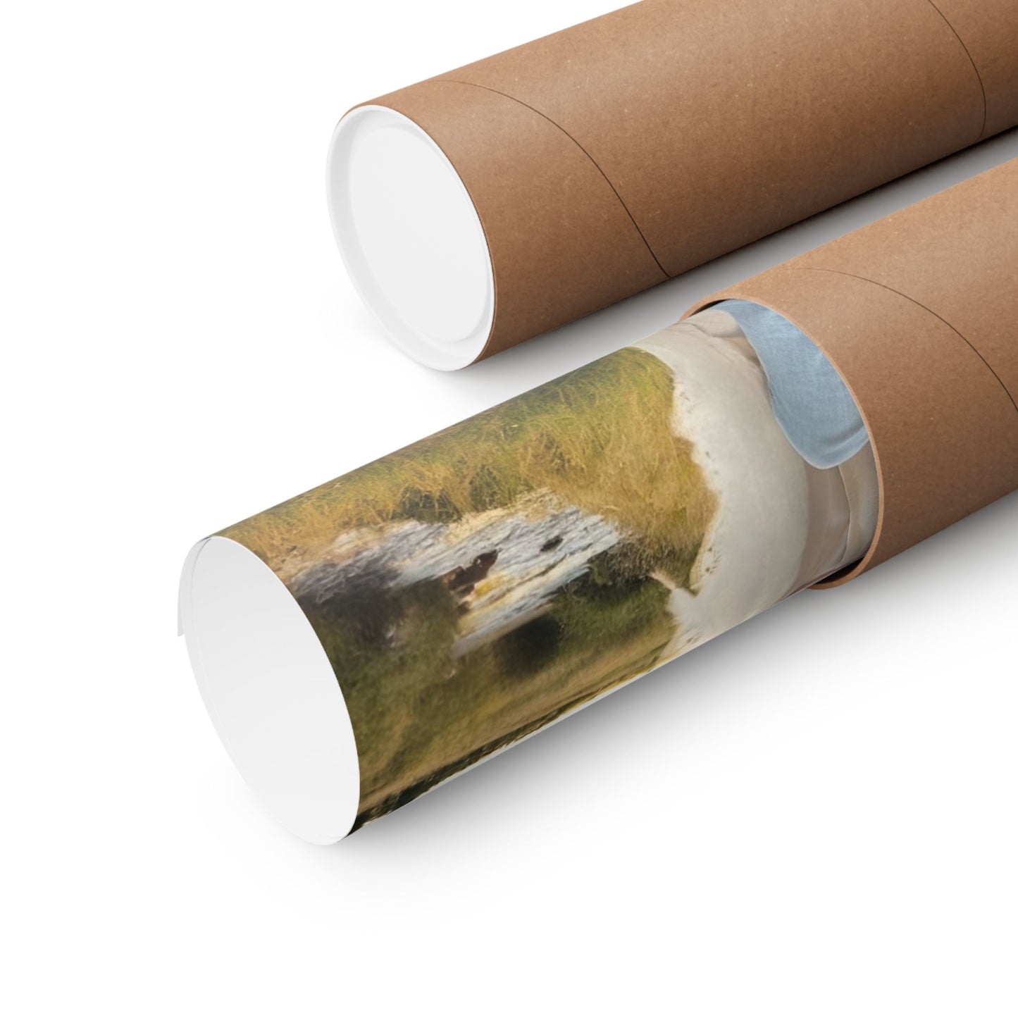 Zoee Album Artwork Matte Poster — Vertical Music Art Print